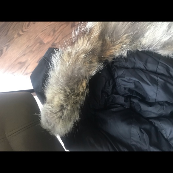 Girls ages 10-12 Canada goose - Picture 5 of 8